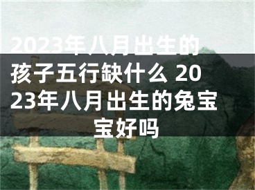2023年八月出生的孩子五行缺什么 2023年八月出生的兔宝宝好吗