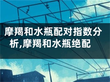摩羯和水瓶配对指数分析,摩羯和水瓶绝配