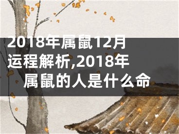 2018年属鼠12月运程解析,2018年属鼠的人是什么命