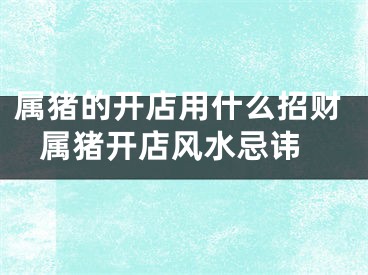 属猪的开店用什么招财 属猪开店风水忌讳