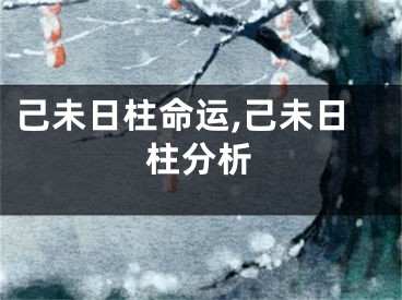 己未日柱命运,己未日柱分析