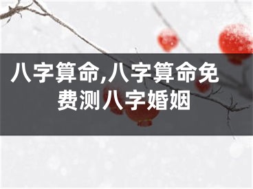 八字算命,八字算命免费测八字婚姻