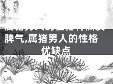 属猪男人的性格特点及脾气,属猪男人的性格优缺点
