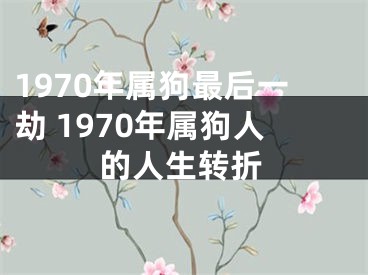 1970年属狗最后一劫 1970年属狗人的人生转折