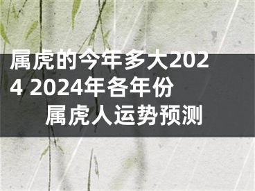 属虎的今年多大2024 2024年各年份属虎人运势预测