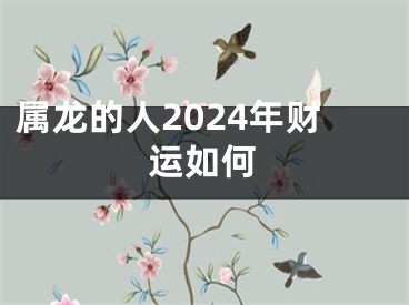 属龙的人2024年财运如何