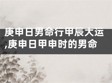 庚申日男命行甲辰大运,庚申日甲申时的男命