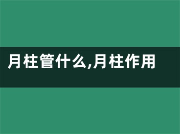 月柱管什么,月柱作用