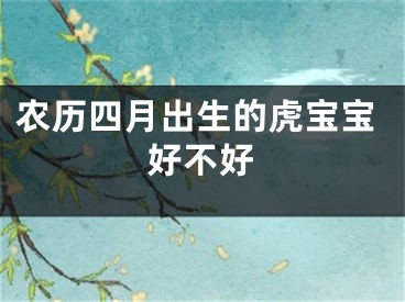 农历四月出生的虎宝宝好不好
