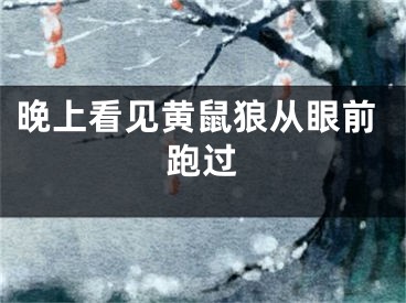 晚上看见黄鼠狼从眼前跑过