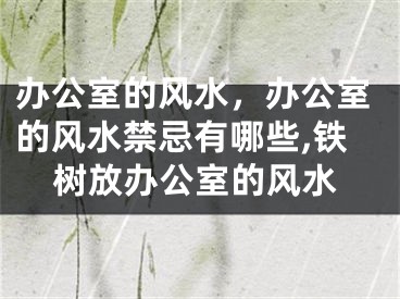 办公室的风水，办公室的风水禁忌有哪些,铁树放办公室的风水