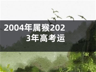 2004年属猴2023年高考运
