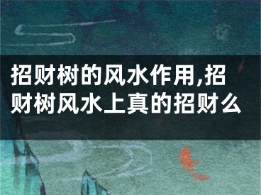 招财树的风水作用,招财树风水上真的招财么
