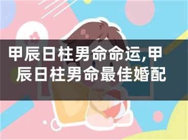 甲辰日柱男命命运,甲辰日柱男命最佳婚配