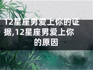 12星座男爱上你的证据,12星座男爱上你的原因