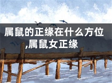 属鼠的正缘在什么方位,属鼠女正缘