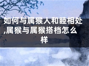 如何与属猴人和睦相处,属猴与属猴搭档怎么样
