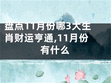 盘点11月份哪3大生肖财运亨通,11月份有什么