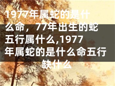 1977年属蛇的是什么命，77年出生的蛇五行属什么,1977年属蛇的是什么命五行缺什么