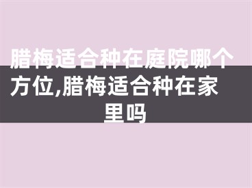 腊梅适合种在庭院哪个方位,腊梅适合种在家里吗