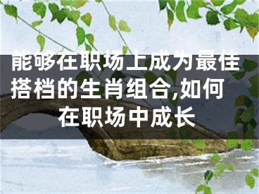 能够在职场上成为最佳搭档的生肖组合,如何在职场中成长