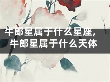 牛郎星属于什么星座,牛郎星属于什么天体