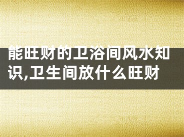 能旺财的卫浴间风水知识,卫生间放什么旺财