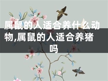 属鼠的人适合养什么动物,属鼠的人适合养猪吗