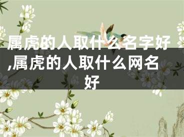 属虎的人取什么名字好,属虎的人取什么网名好