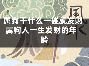 属狗干什么一碰就发财 属狗人一生发财的年龄