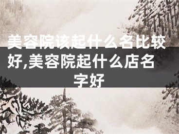 美容院该起什么名比较好,美容院起什么店名字好