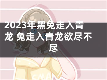 2023年黑兔走入青龙 兔走入青龙欲尽不尽