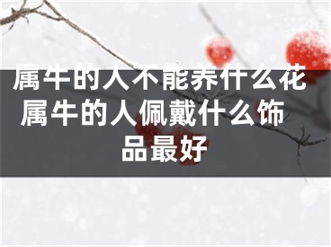 属牛的人不能养什么花 属牛的人佩戴什么饰品最好