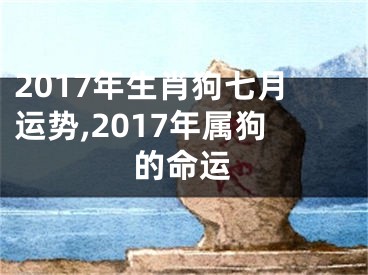 2017年生肖狗七月运势,2017年属狗的命运
