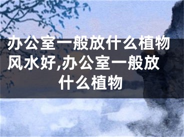 办公室一般放什么植物风水好,办公室一般放什么植物