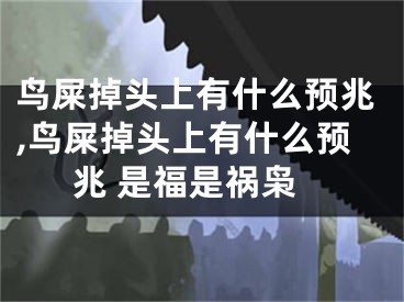 鸟屎掉头上有什么预兆,鸟屎掉头上有什么预兆 是福是祸枭