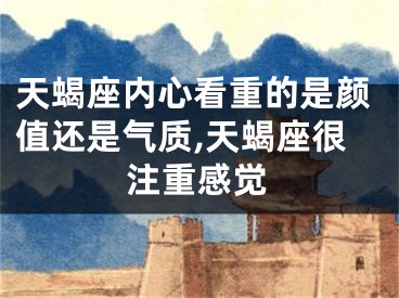 天蝎座内心看重的是颜值还是气质,天蝎座很注重感觉