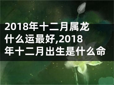 2018年十二月属龙什么运最好,2018年十二月出生是什么命