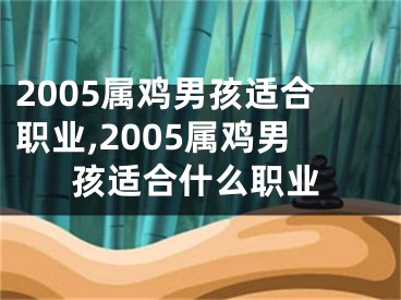 2005属鸡男孩适合职业,2005属鸡男孩适合什么职业