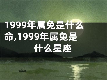 1999年属兔是什么命,1999年属兔是什么星座