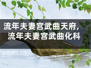 流年夫妻宫武曲天府,流年夫妻宫武曲化科