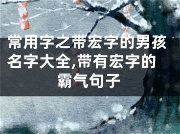 常用字之带宏字的男孩名字大全,带有宏字的霸气句子