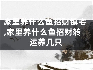 家里养什么鱼招财镇宅,家里养什么鱼招财转运养几只