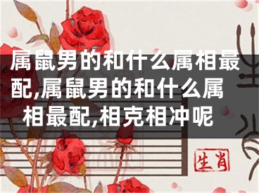 属鼠男的和什么属相最配,属鼠男的和什么属相最配,相克相冲呢