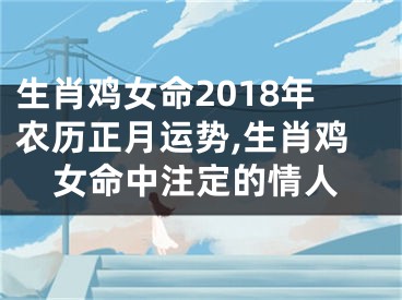生肖鸡女命2018年农历正月运势,生肖鸡女命中注定的情人