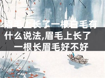 眉毛上长了一根白毛有什么说法,眉毛上长了一根长眉毛好不好