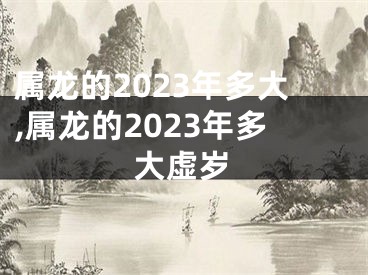 属龙的2023年多大,属龙的2023年多大虚岁