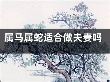 属马属蛇适合做夫妻吗