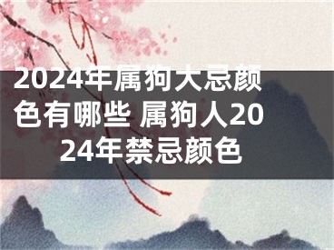 2024年属狗大忌颜色有哪些 属狗人2024年禁忌颜色