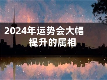 2024年运势会大幅提升的属相